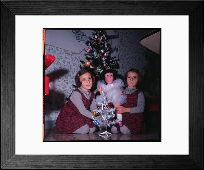 Framed Print : Portrait of Siamese Twins Framed Print : Portrait of Siamese Twins