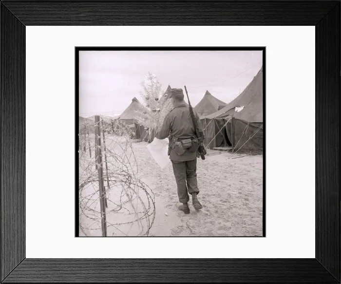 Framed Print : Marine Carrying Christmas Tree in Camp Framed Print : Marine Carrying Christmas Tree in Camp