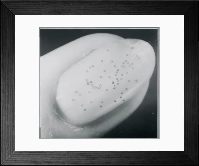 Framed Print : Ferrite Cores on Fingernail Framed Print : Ferrite Cores on Fingernail