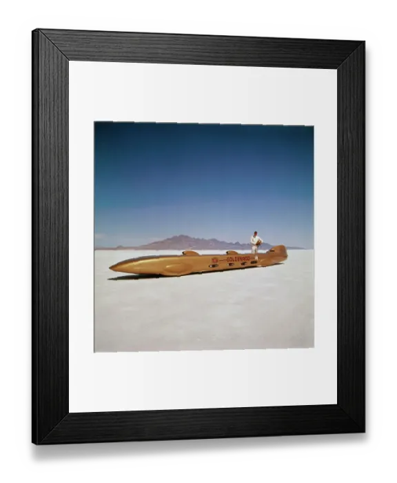 Framed Print : Bobby Summers and Goldenrod Framed Print : Bobby Summers and Goldenrod