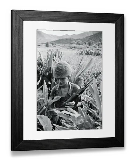 Framed Print : Soldier in Tall Grass Framed Print : Soldier in Tall Grass