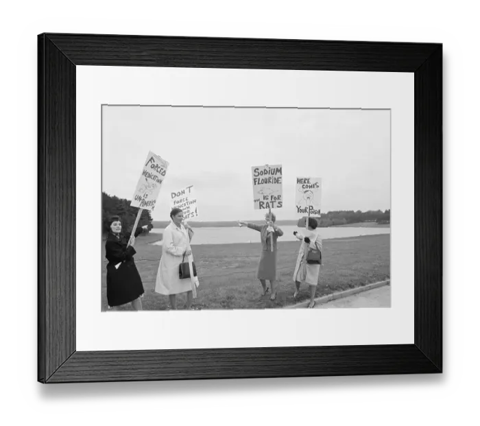 Framed Print : Protesters Carrying Signs