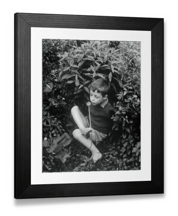 Framed Print : Crippled Boy Holding Dandelion by Foot Framed Print : Crippled Boy Holding Dandelion by Foot