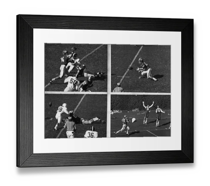 Framed Print : A Bit of Razzle-Dazzle Framed Print : A Bit of Razzle-Dazzle