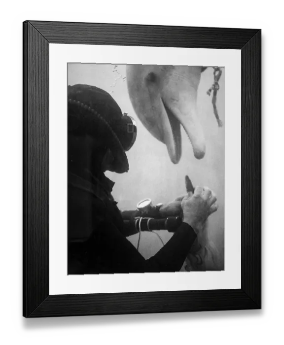 Framed Print : Tuffy And Diver John Reaves Train In Open Ocean For Sealab II Project Framed Print : Tuffy And Diver John Reaves Train In Open Ocean For Sealab II Project