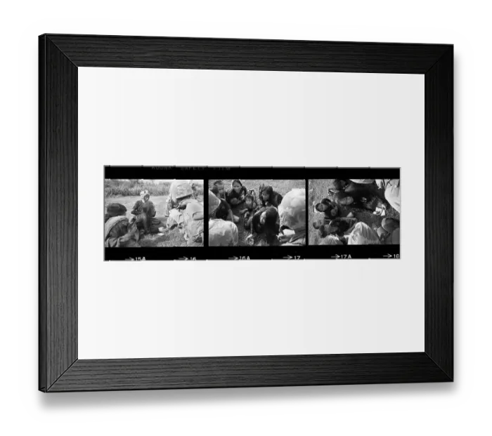 Framed Print : Women Suspected Of Being Viet Cong Framed Print : Women Suspected Of Being Viet Cong