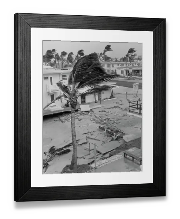 Framed Print : Hurricane Betsy Hits Fort Lauderdale Framed Print : Hurricane Betsy Hits Fort Lauderdale