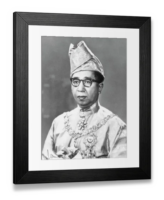 Framed Print : Portrait of Sultan Ismail Nasiruddin Shah Framed Print : Portrait of Sultan Ismail Nasiruddin Shah