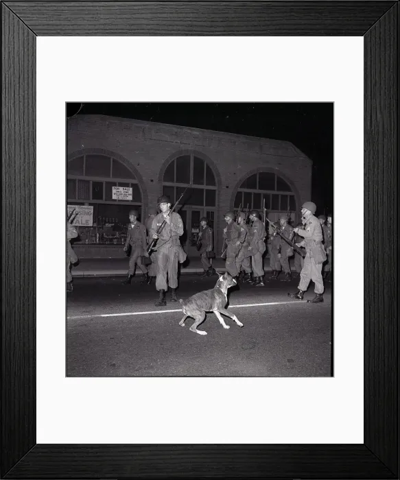 Framed Print : National Guard Marching near Dog Framed Print : National Guard Marching near Dog