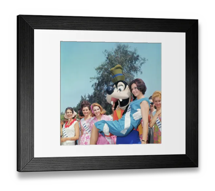 Framed Print : Beauty Queens and Goofy Framed Print : Beauty Queens and Goofy