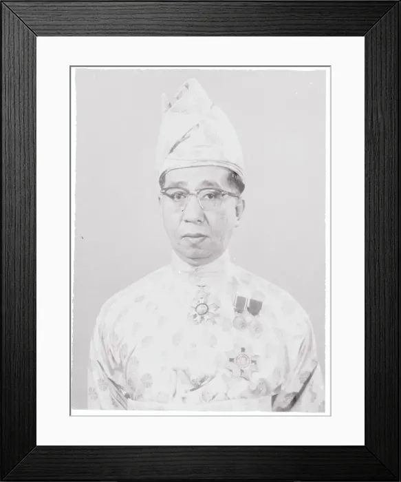 Framed Print : Portrait of Sultan Ismail Nasiruddin Shah Framed Print : Portrait of Sultan Ismail Nasiruddin Shah