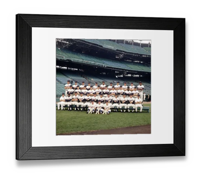 Framed Print : Portrait of Minnesota Twins Baseball Team Framed Print : Portrait of Minnesota Twins Baseball Team