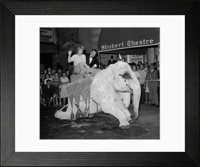 Framed Print : Lucille Ball Sitting on an Elephant Framed Print : Lucille Ball Sitting on an Elephant