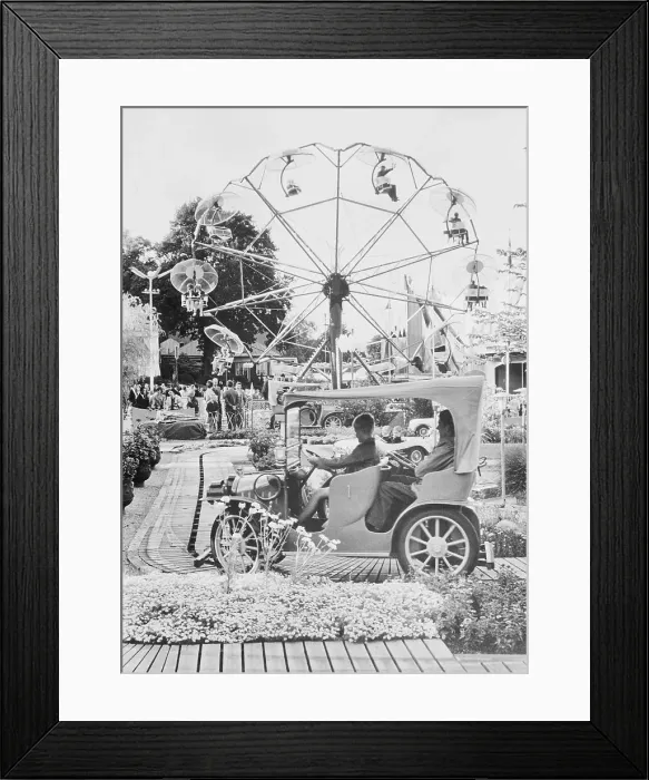 Framed Print : Visitors Enjoying Amusement Park Framed Print : Visitors Enjoying Amusement Park