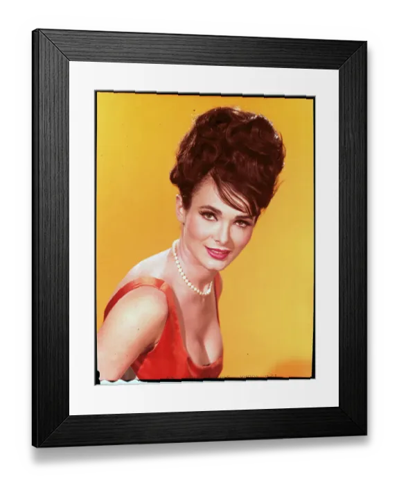 Framed Print : Gila Golan Framed Print : Gila Golan