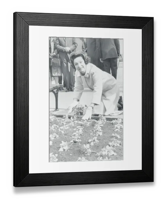 Framed Print : Lady Bird Johnson Exploring Garden on Her Knees Framed Print : Lady Bird Johnson Exploring Garden on Her Knees