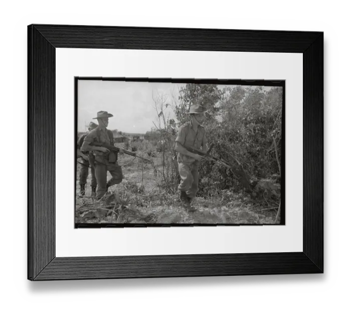 Framed Print : Troops Patrolling Area in South Vietnam Framed Print : Troops Patrolling Area in South Vietnam