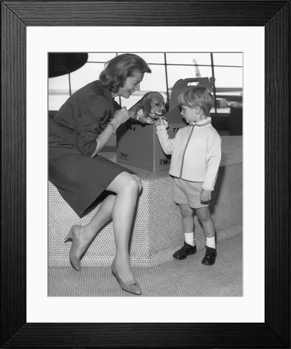 Framed Print : Lauren Bacall and Son Playing with Pet Dog Framed Print : Lauren Bacall and Son Playing with Pet Dog