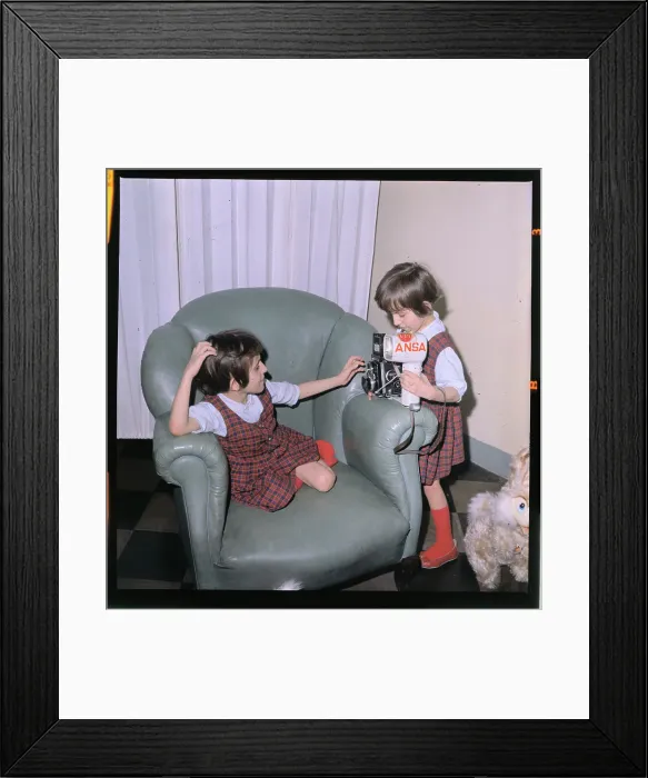 Framed Print : Separated Siamese Twins Framed Print : Separated Siamese Twins