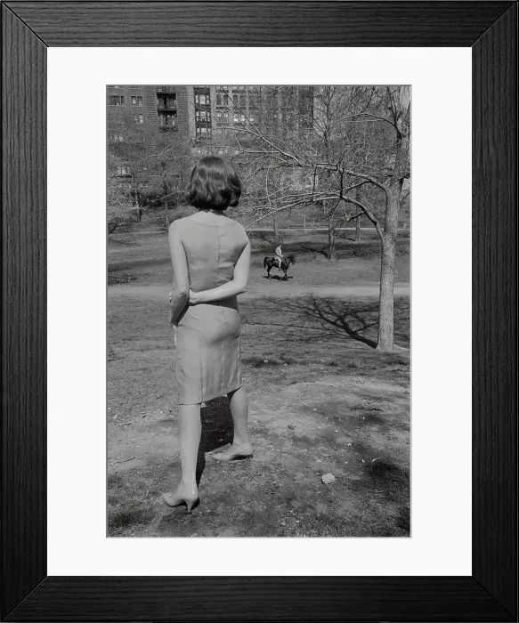 Framed Print : Claudia Cardinale and Rock Hudson Starring in Film Framed Print : Claudia Cardinale and Rock Hudson Starring in Film