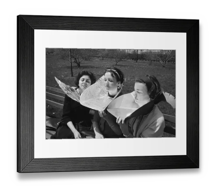 Framed Print : Women Sunbathing In Battery Park Framed Print : Women Sunbathing In Battery Park