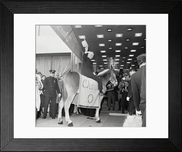 Framed Print : Charles O. Finley Riding Mule Mascot