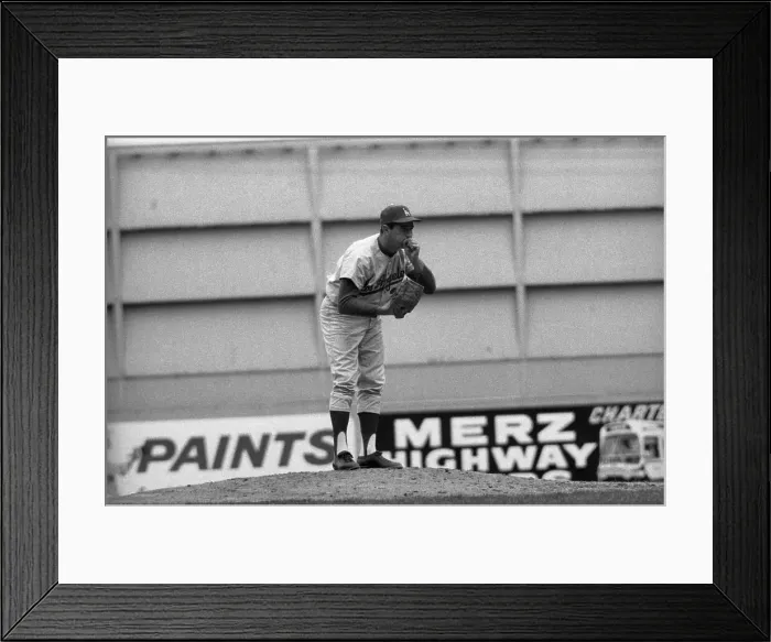 Framed Print : Sandy Koufax warming up pitching arm Framed Print : Sandy Koufax warming up pitching arm
