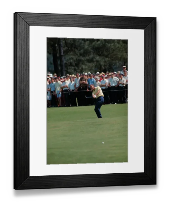 Framed Print : Arnold Palmer Taking a Swing Framed Print : Arnold Palmer Taking a Swing
