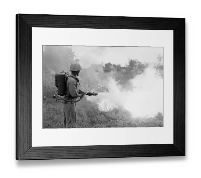 Framed Print : Marine Burning Out Underbrush with Flamethrower Framed Print : Marine Burning Out Underbrush with Flamethrower