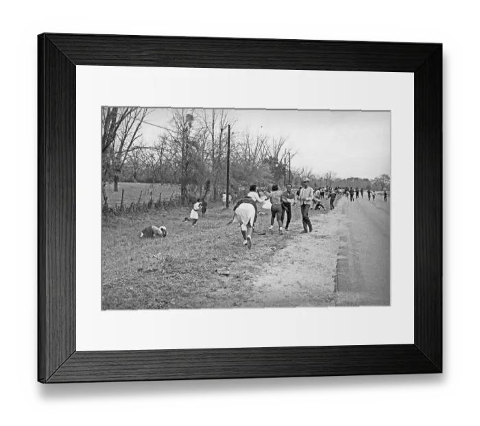 Framed Print : Protesters Leaving Scene During Civil Rights Demonstration Framed Print : Protesters Leaving Scene During Civil Rights Demonstration