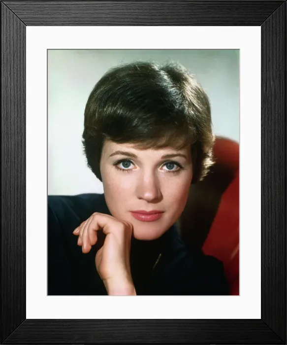 Framed Print : Julie Andrews Framed Print : Julie Andrews