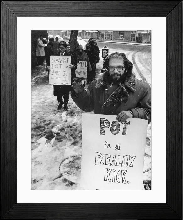 Framed Print : Allen Ginsberg Amongst Protesters at Marijuana Rally Framed Print : Allen Ginsberg Amongst Protesters at Marijuana Rally