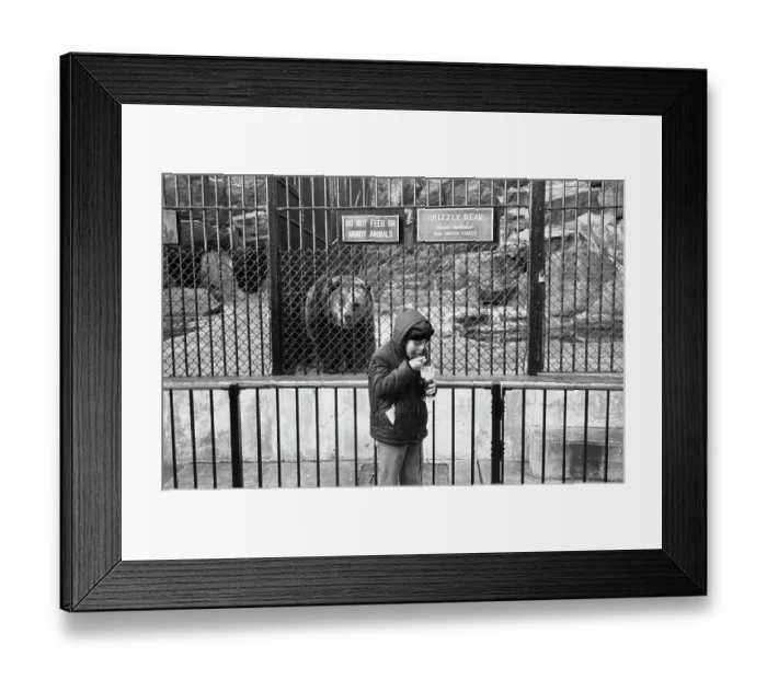 Framed Print : Visit to the Zoo Framed Print : Visit to the Zoo