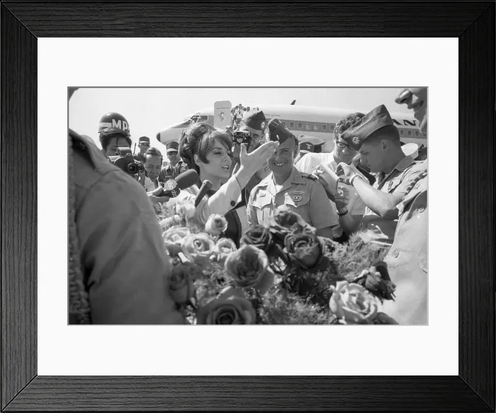 Framed Print : Jo Collins Framed Print : Jo Collins