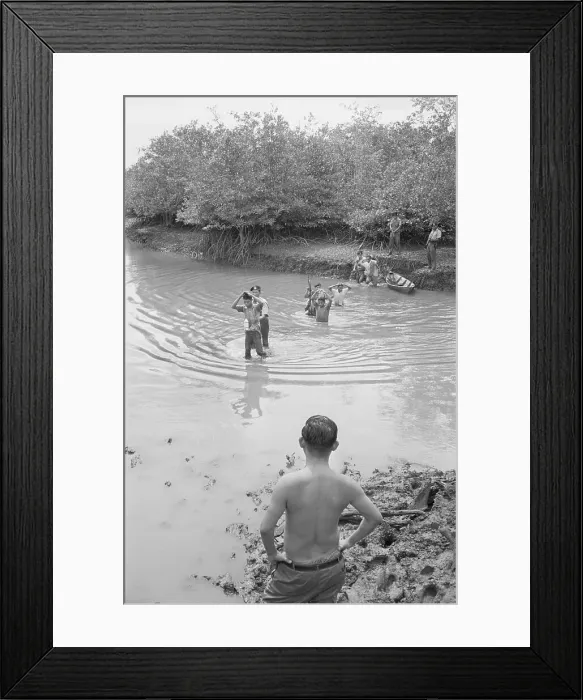 Framed Print : Malaysian Police Capturing Guerillas Framed Print : Malaysian Police Capturing Guerillas