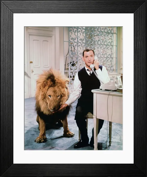 Framed Print : Actor Tony Randall and Lion Framed Print : Actor Tony Randall and Lion