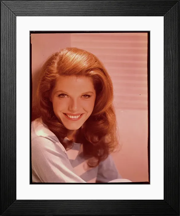 Framed Print : Samantha Eggar