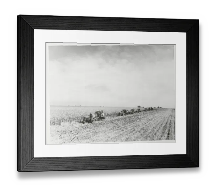 Framed Print : Harvester Machines in Field Framed Print : Harvester Machines in Field