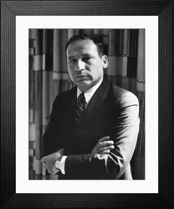 Framed Print : Mel Brooks Framed Print : Mel Brooks