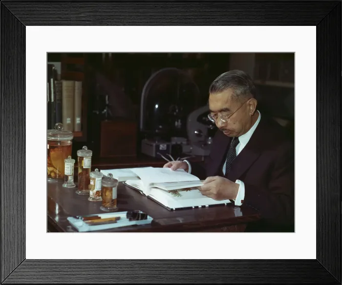 Framed Print : Emperor Hirohito Studying Marine Biology Framed Print : Emperor Hirohito Studying Marine Biology
