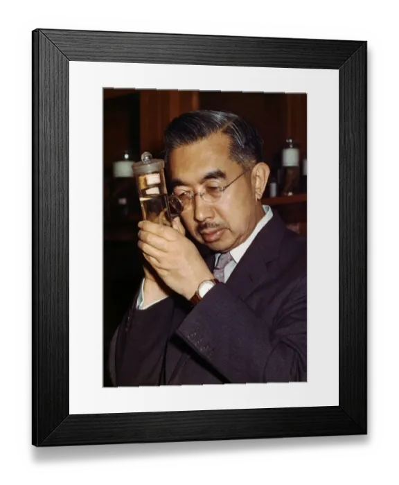 Framed Print : Emperor Hirohito Studying Marine Biology Framed Print : Emperor Hirohito Studying Marine Biology
