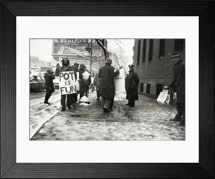 Framed Print : Poet Allen Ginsberg Marching with Pot Conformists Framed Print : Poet Allen Ginsberg Marching with Pot Conformists