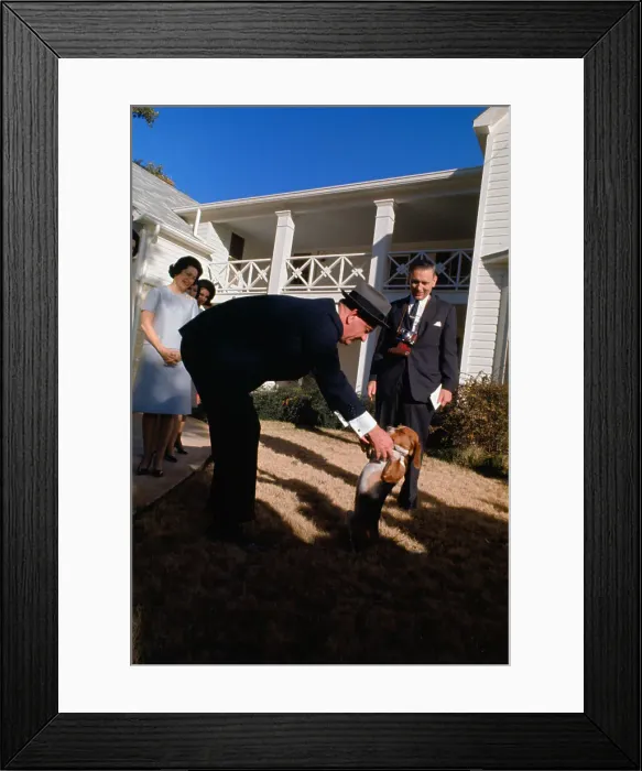 Framed Print : President Lyndon B. Johnson Having Fun with His Dog Framed Print : President Lyndon B. Johnson Having Fun with His Dog