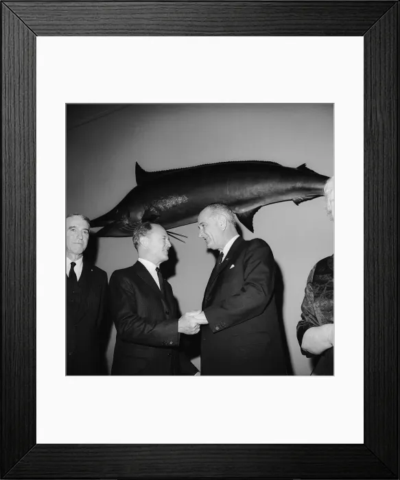 Framed Print : Biggest Ever Fish Caught on a Fishing Rod Framed Print : Biggest Ever Fish Caught on a Fishing Rod