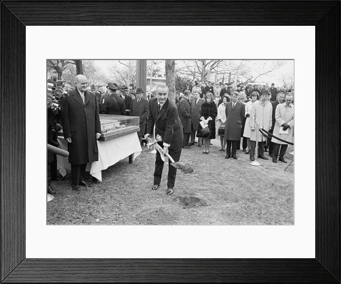 Framed Print : President Johnson Shoveling Dirt Framed Print : President Johnson Shoveling Dirt