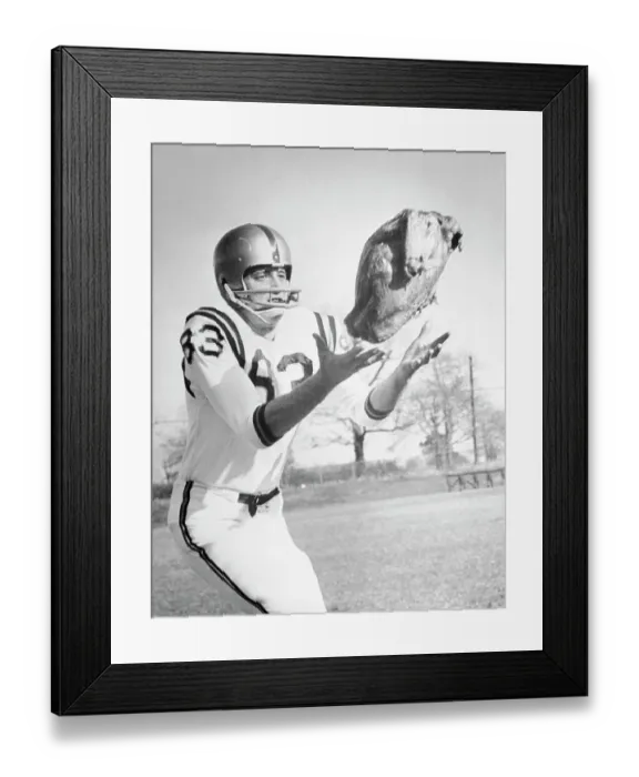 Framed Print : Football Player Catching Turkey Framed Print : Football Player Catching Turkey