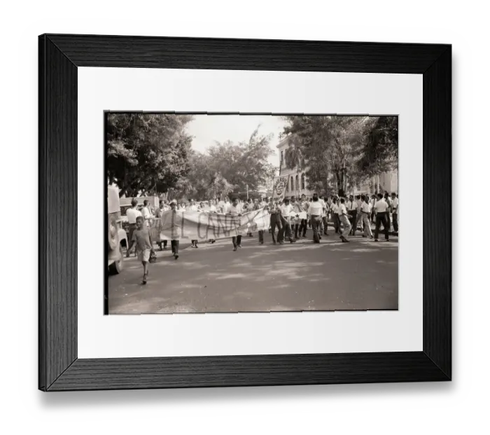 Framed Print : Protesting Students March in Street Framed Print : Protesting Students March in Street