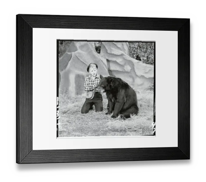 Framed Print : Lucille Ball Sitting with a Bear Framed Print : Lucille Ball Sitting with a Bear