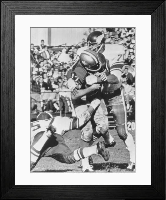 Framed Print : Vikings Jim Marshall Sacking Bill Kilmer Framed Print : Vikings Jim Marshall Sacking Bill Kilmer