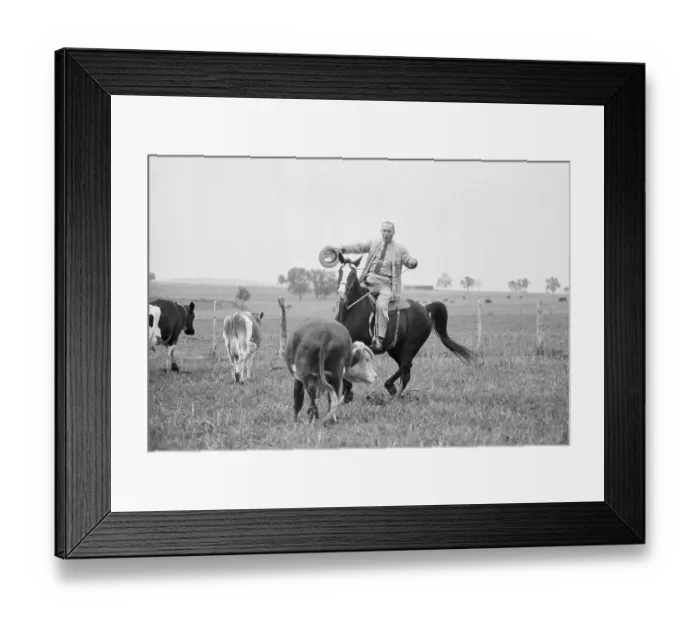 Framed Print : Lyndon Johnson Herding Cattle Framed Print : Lyndon Johnson Herding Cattle